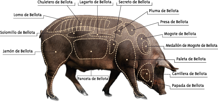 Zerlegung des iberischen Schweins