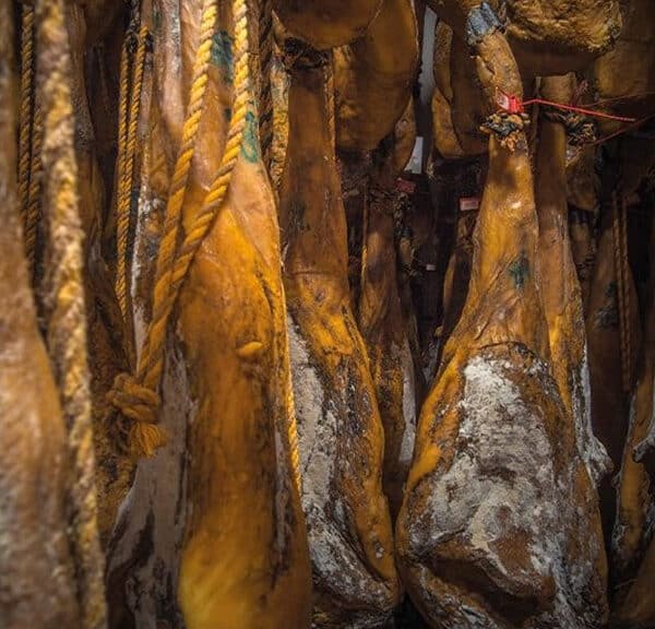 El moho que surge en el jamón ibérico puede aparecer en momentos distintos del proceso de curación